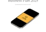 create a professional business plan, startup strategy and market research